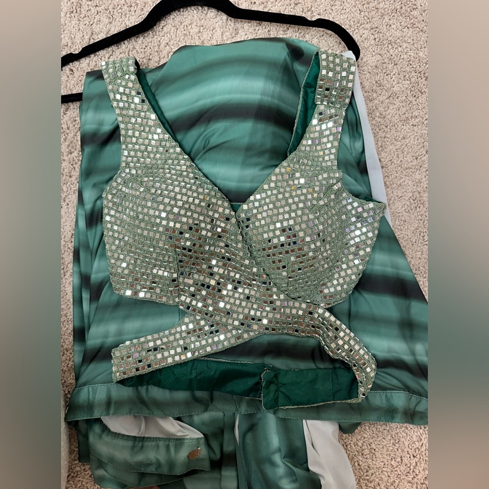 Green and Silver Embellished pre pleated Saree - Picture 5 of 7